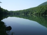 Biogradsko lake