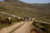 Bike tours