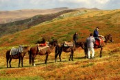 Horseback riding