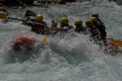 Adrenalin