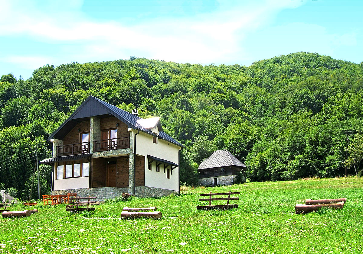 Vila Drijenak